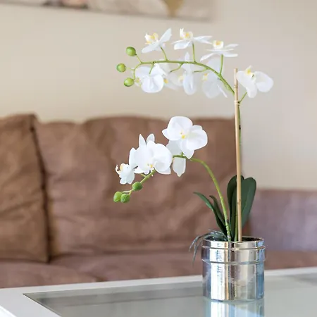 شقة Home2book Tranquil Escape Community Pool *