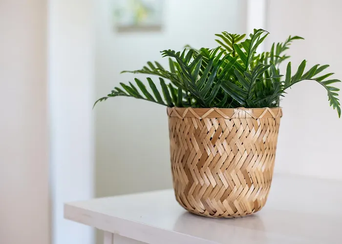 Home2book Tranquil Escape Community Pool Daire