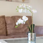 Lejlighed Home2book Tranquil Escape Community Pool *
