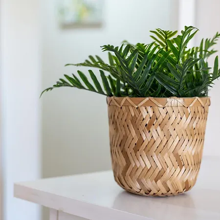 Home2book Tranquil Escape Community Pool Apartment